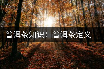 普洱茶知識：普洱茶定義釋意大全