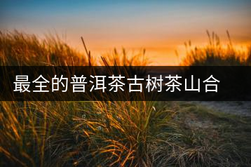 最全的普洱茶古樹茶山合集