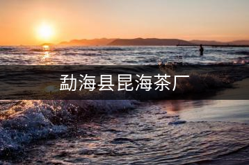 勐?？h昆海茶廠