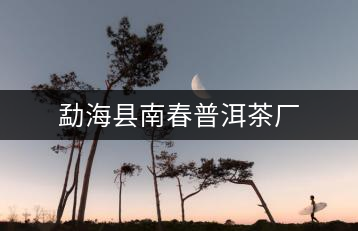 勐海縣南春普洱茶廠