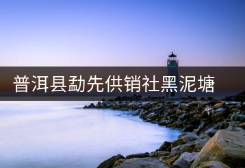 普洱縣勐先供銷(xiāo)社黑泥塘茶廠