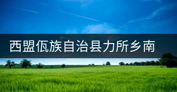 西盟佤族自治縣力所鄉(xiāng)南亢茶廠(chǎng)