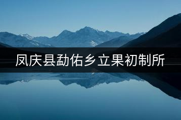 鳳慶縣勐佑鄉(xiāng)立果初制所