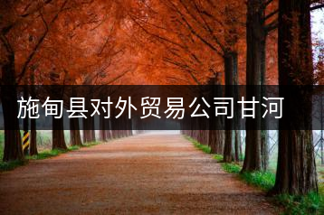 施甸縣對外貿易公司甘河凹茶廠