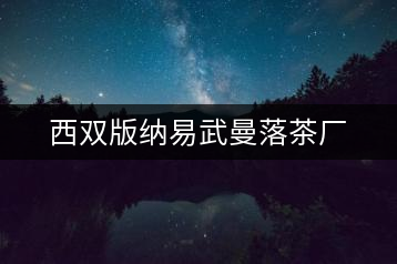西雙版納易武曼落茶廠(chǎng)