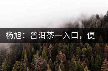 楊旭：普洱茶一入口，便知產(chǎn)地和年份