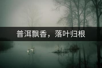 普洱飄香，落葉歸根