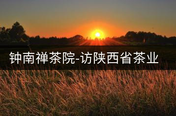 鐘南禪茶院-訪陜西省茶業(yè)協(xié)會(huì)副秘書長(zhǎng)楊元