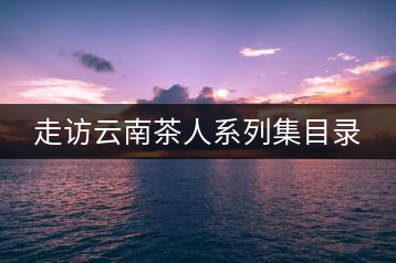 走訪云南茶人系列集目錄