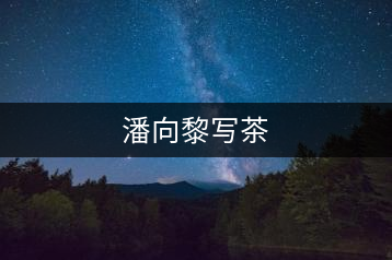 潘向黎寫(xiě)茶
