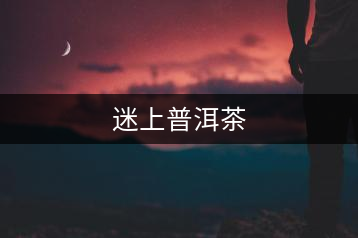 迷上普洱茶