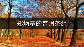 鄭炳基的普洱茶經