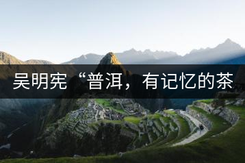 吳明憲“普洱，有記憶的茶品”