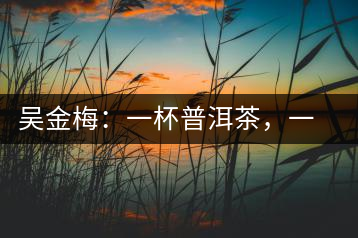 吳金梅：一杯普洱茶，一份云南情