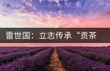 雷世國:立志傳承“貢茶”風(fēng)韻