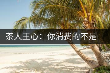 茶人王心：你消費的不是茶，是我