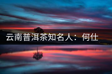 云南普洱茶知名人：何仕華
