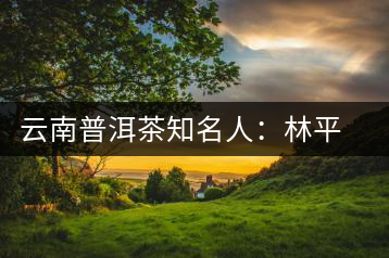 云南普洱茶知名人：林平祥
