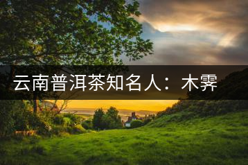云南普洱茶知名人：木霽弘