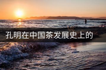 孔明在中國(guó)茶發(fā)展史上的意義