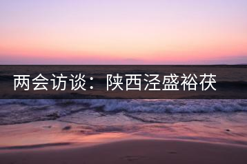 兩會訪談：陜西涇盛裕茯茶集團董事長馬恒光