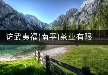 訪武夷福(南平)茶業(yè)有限公司董事長張敏瓊