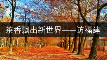 茶香飄出新世界——訪福建省天榮茶業(yè)有限公司董事長沈丞榮