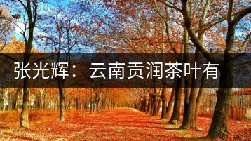 張光輝：云南貢潤茶葉有限公司董事長