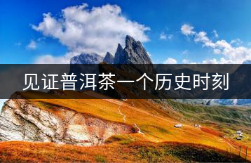 見(jiàn)證普洱茶一個(gè)歷史時(shí)刻