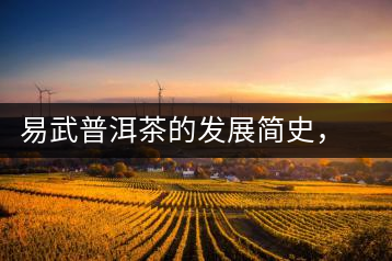 易武普洱茶的發(fā)展簡史，昔日的貢茶如今依然輝煌