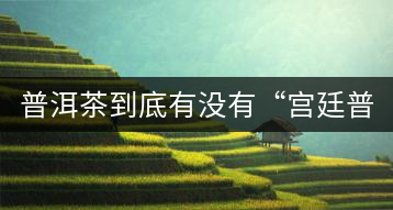 普洱茶到底有沒有“宮廷普洱”一說？它到底是什么？