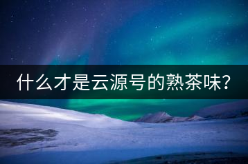 什么才是云源號(hào)的熟茶味？