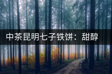 中茶昆明七子鐵餅：甜醇甘潤，陳韻綿長