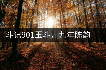 斗記901玉斗，九年陳韻解讀時(shí)間之味