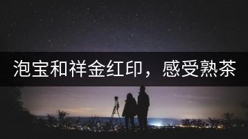 泡寶和祥金紅印，感受熟茶之美。