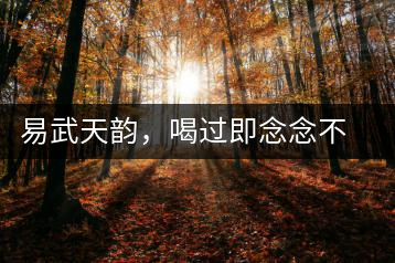 易武天韻，喝過即念念不忘的茶中皇后