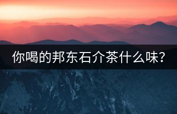 你喝的邦東石介茶什么味？