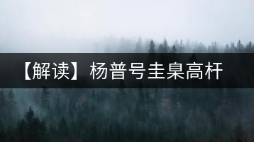 【解讀】楊普號圭臬高桿茶：形高、氣足、韻遠(yuǎn)的一款茶
