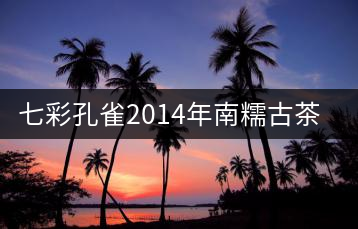 七彩孔雀2014年南糯古茶山開(kāi)湯品鑒