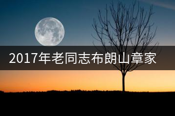 2017年老同志布朗山章家三隊(duì)即將上市