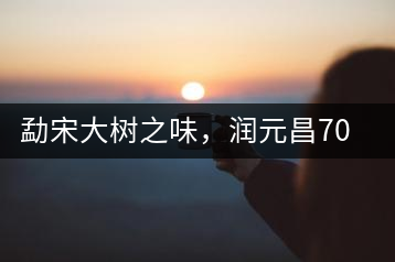 勐宋大樹之味，潤元昌701金色好韻方磚即將上市