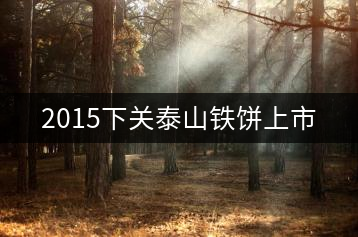 2015下關(guān)泰山鐵餅上市