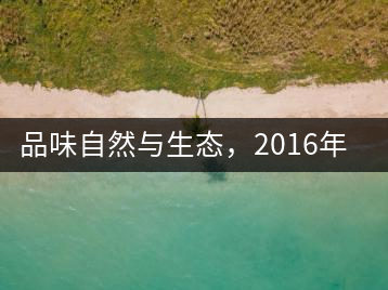 品味自然與生態(tài)，2016年勐傣“大雪山古樹(shù)茶”