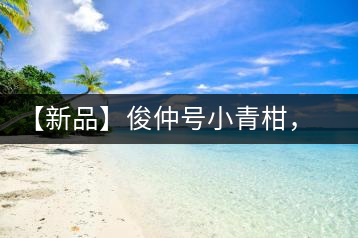 【新品】俊仲號小青柑，青果來傾城