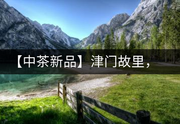 【中茶新品】津門故里，橙色風(fēng)暴