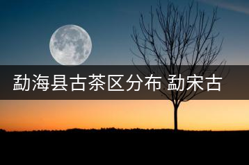 勐?？h古茶區(qū)分布 勐宋古茶山