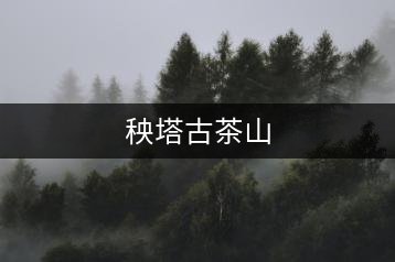 秧塔古茶山