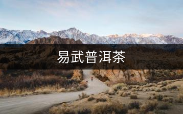易武普洱茶
