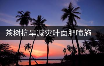 茶樹抗旱減災(zāi)葉面肥噴施技術(shù)