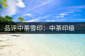 品評中茶雪?。褐胁栌〖壊璧慕?jīng)典傳承